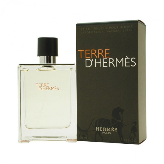 Hermes Terre d'Hermes 100ml for men perfume (Tester)