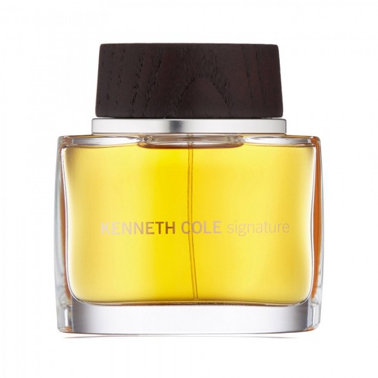 Kenneth Cole Signature 100ml for men perfume EDT (Tester)